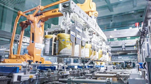 從負重前行到虛擬創造 昔日奶粉搬運工的數碼蛻變